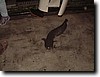 DSCF0566.JPG